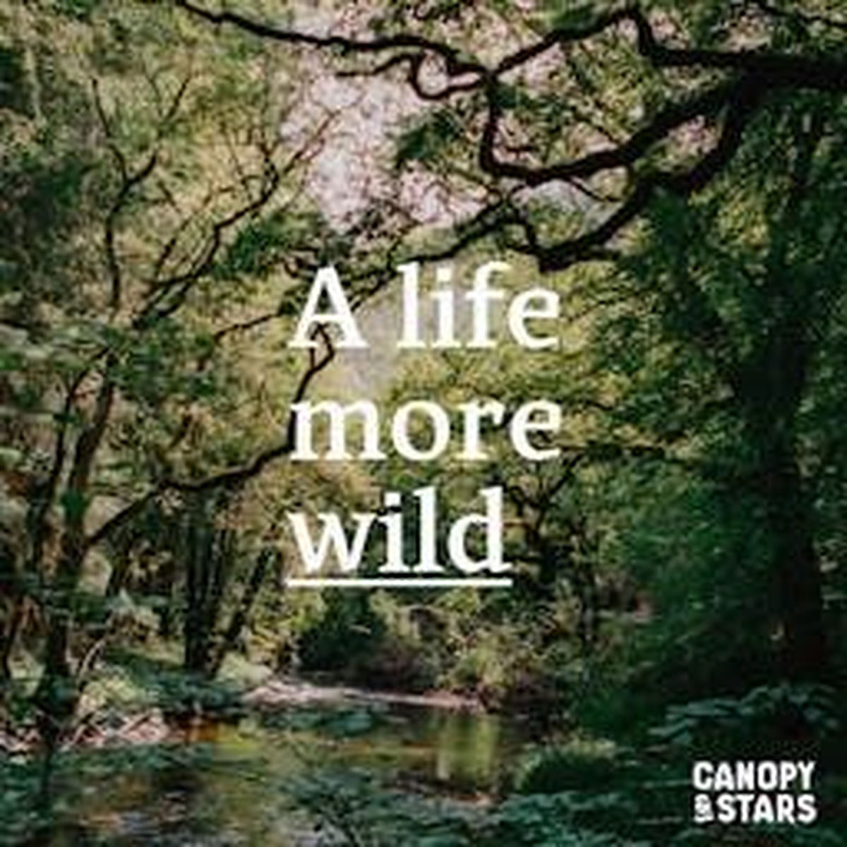 Show cover of A Life More Wild