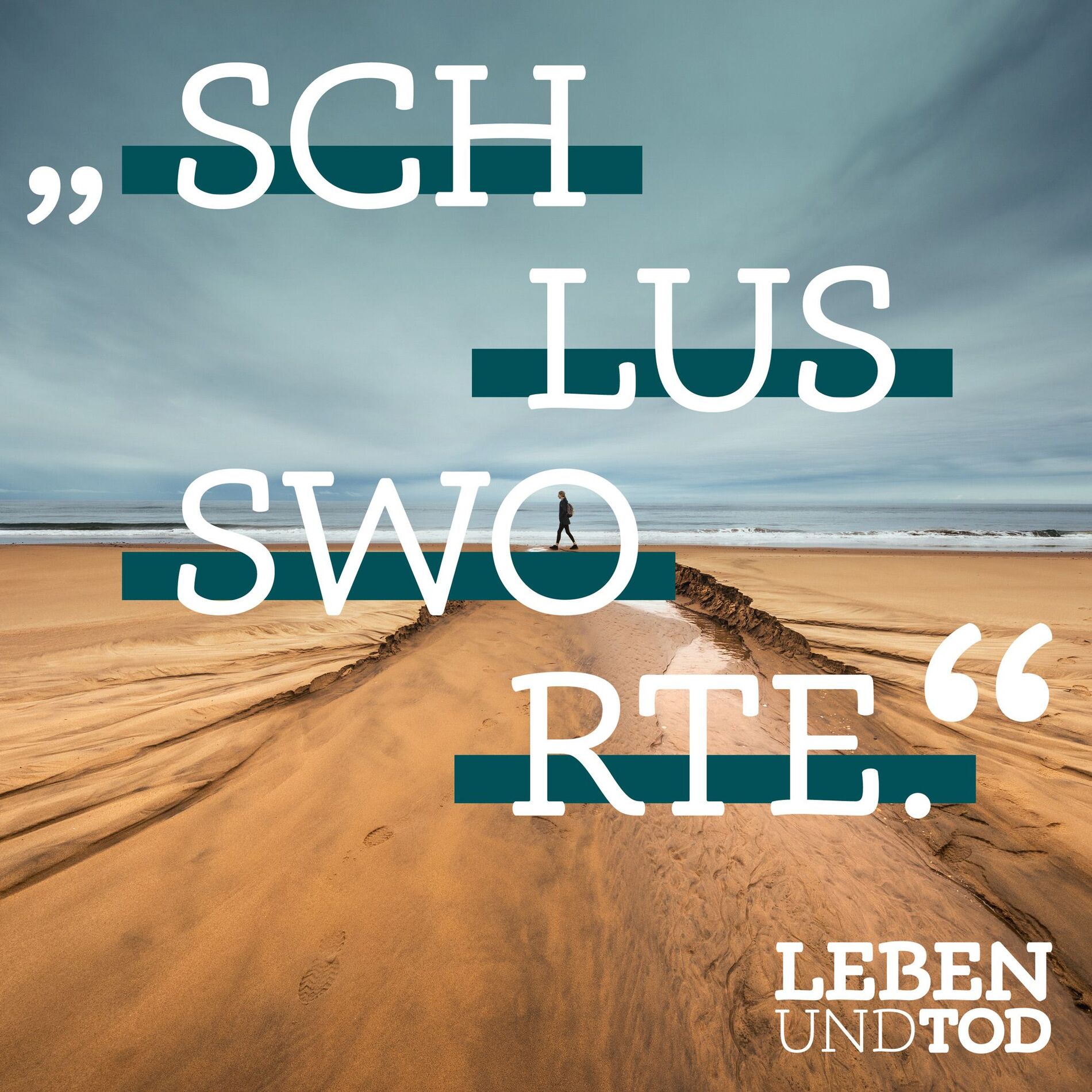 Show cover of SCHLUSSWORTE.