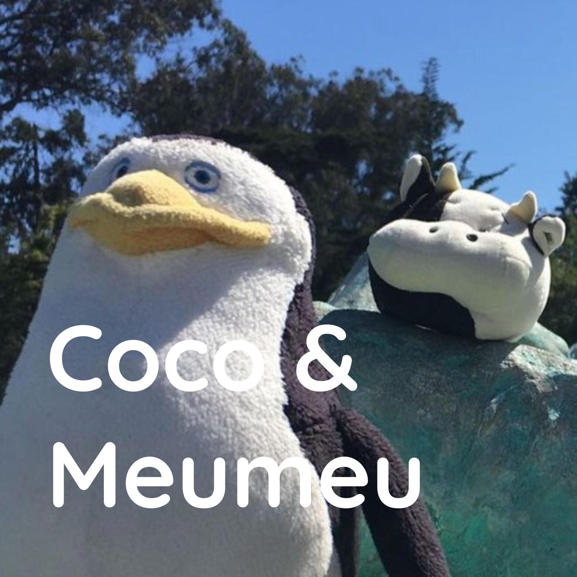 Show cover of Coco & Meumeu 🇫🇷