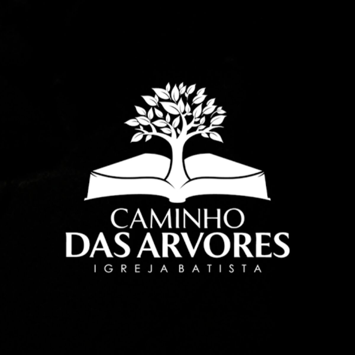 Show cover of A IMPORTÂNCIA DA GENEALOGIA NA BíBLIA