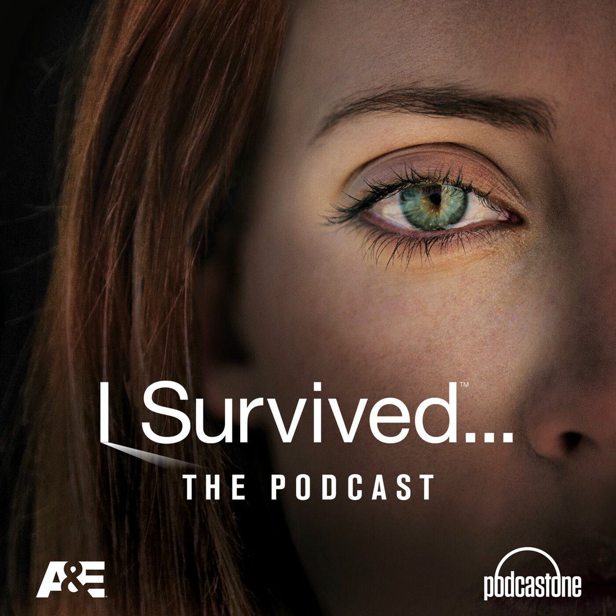 Show cover of I Survived
