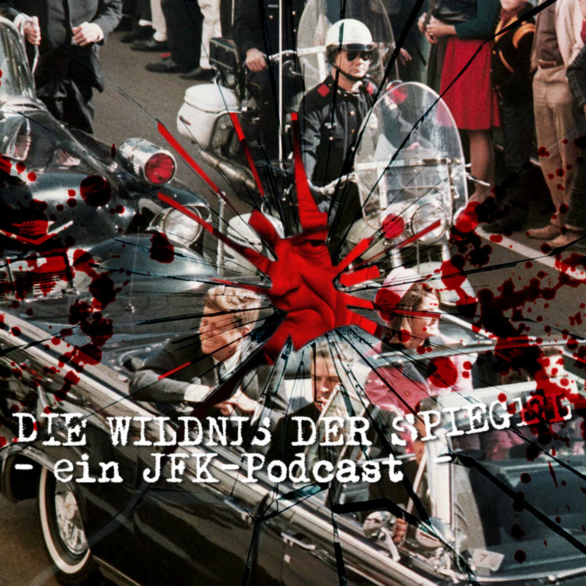 Show cover of Die Wildnis der Spiegel