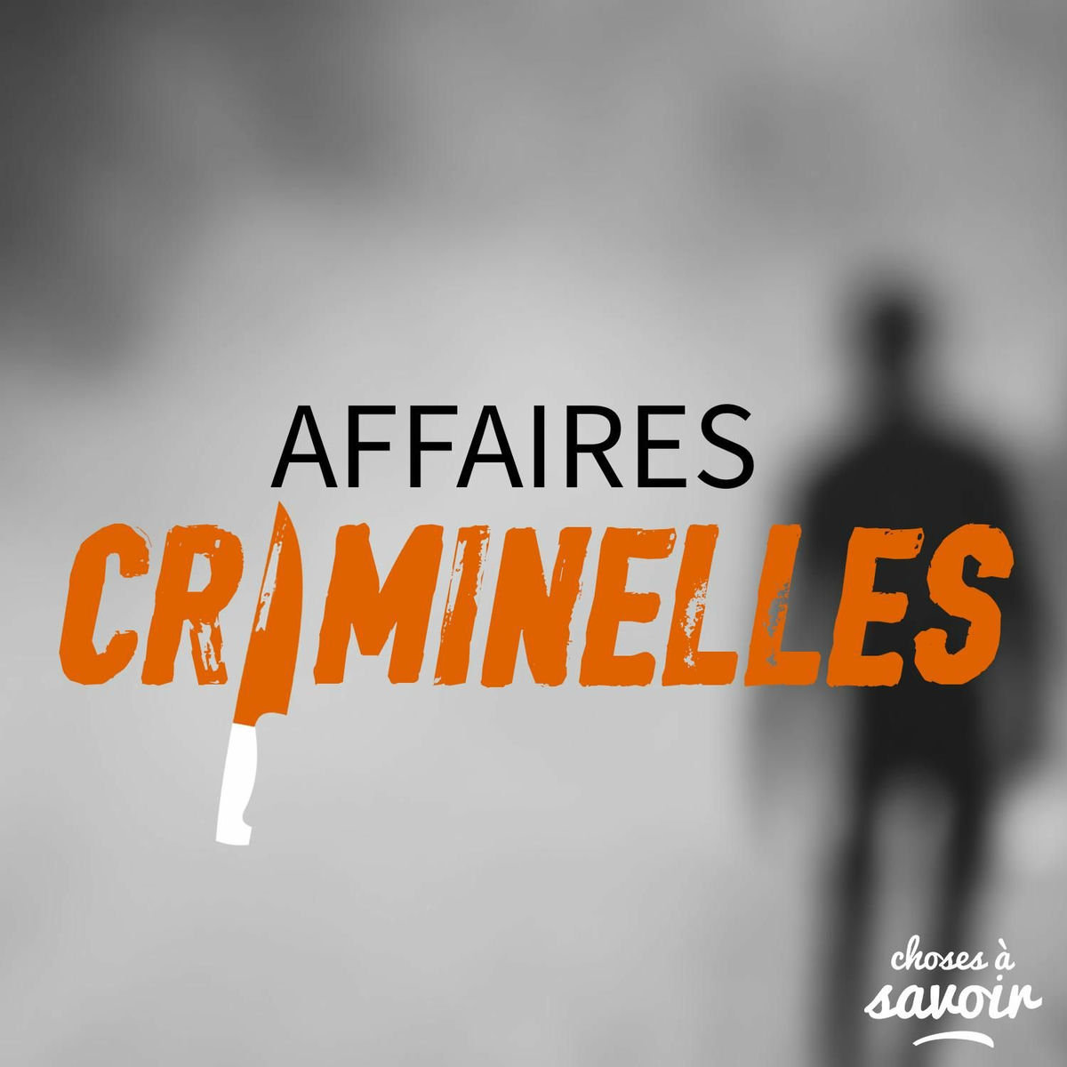 Show cover of Affaires criminelles