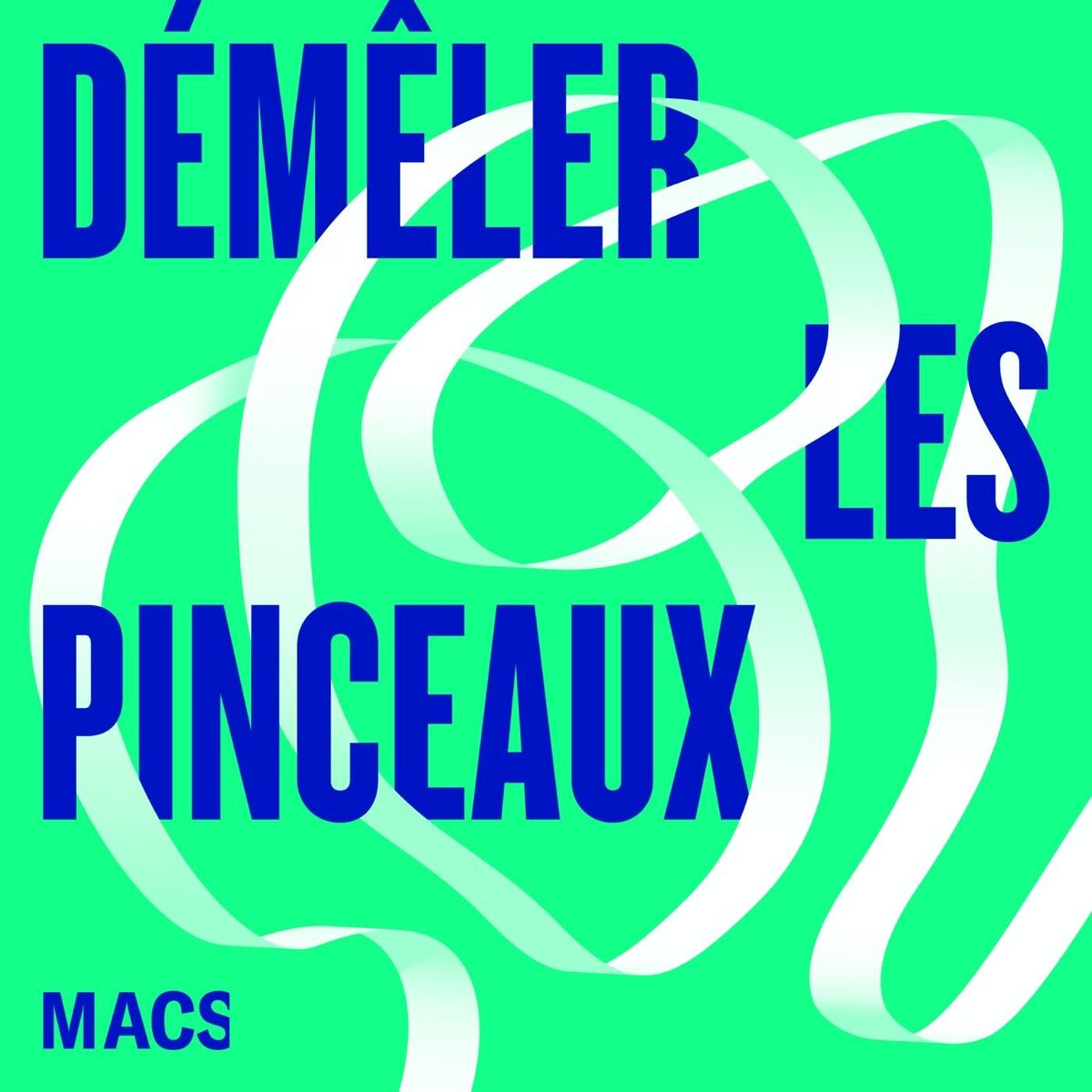 Show cover of Démêler les pinceaux