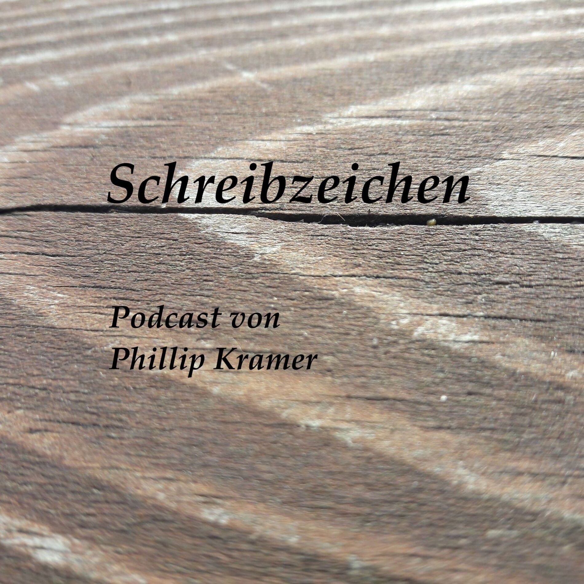 Show cover of Schreibzeichen.