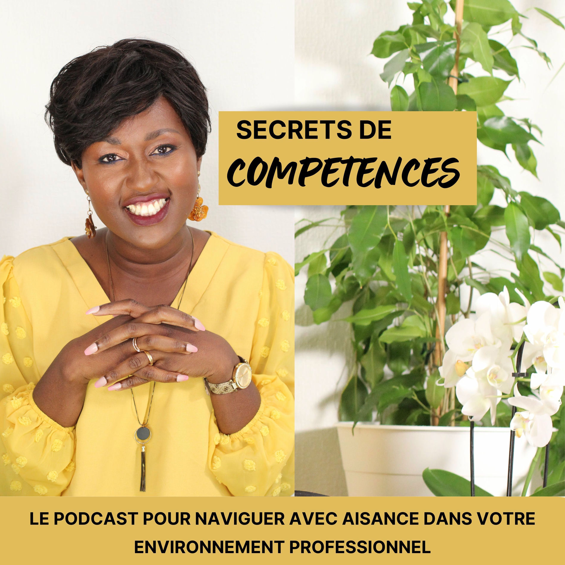 Show cover of Secrets de Compétences