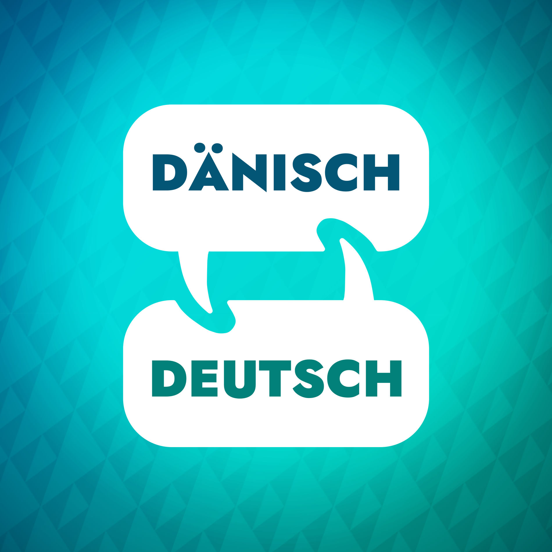 Show cover of Dänischer Lernbeschleuniger