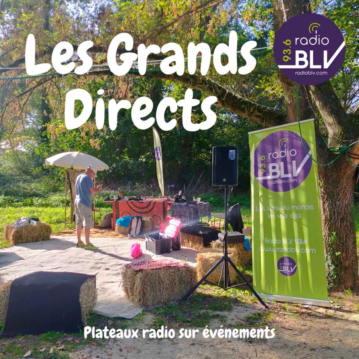 Show cover of Les Grands Directs