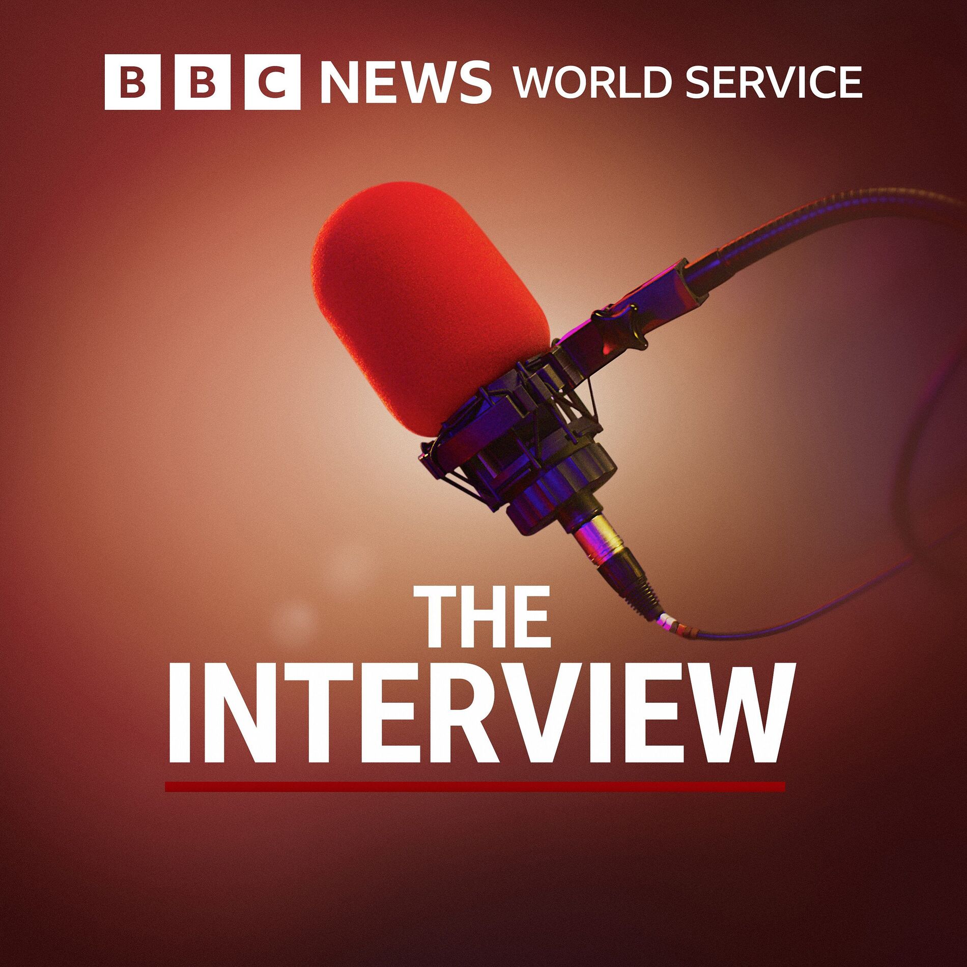 Show cover of The Interview