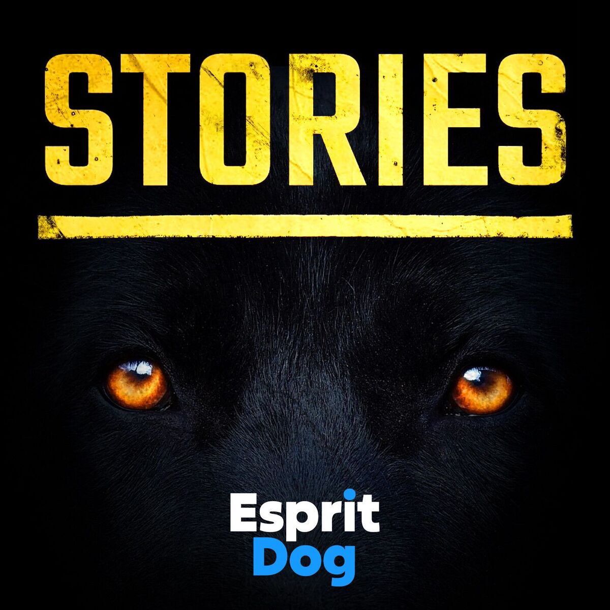Show cover of Stories - Esprit Dog