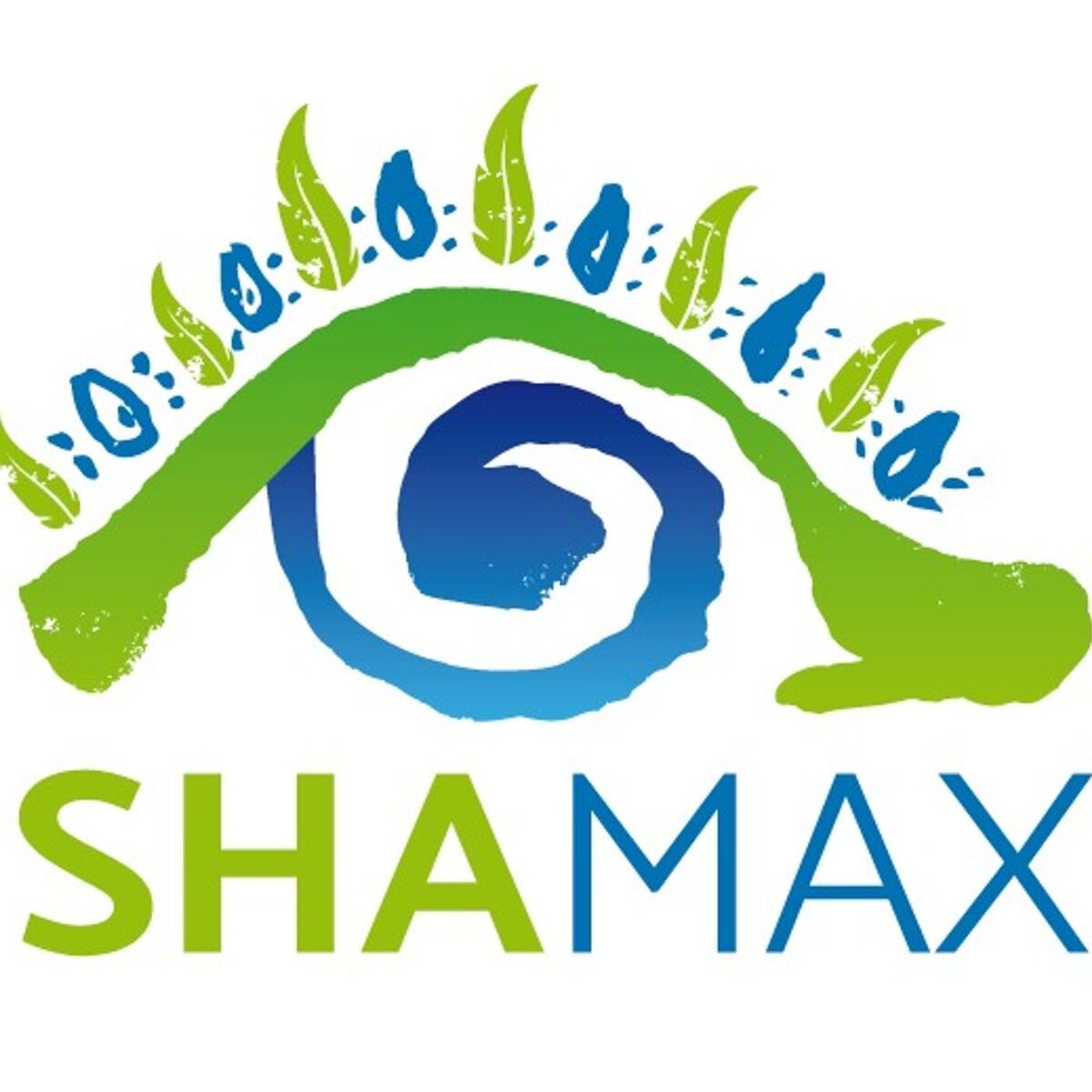 Show cover of 2) SHAMAX - LO SCIAMANO MODERNO