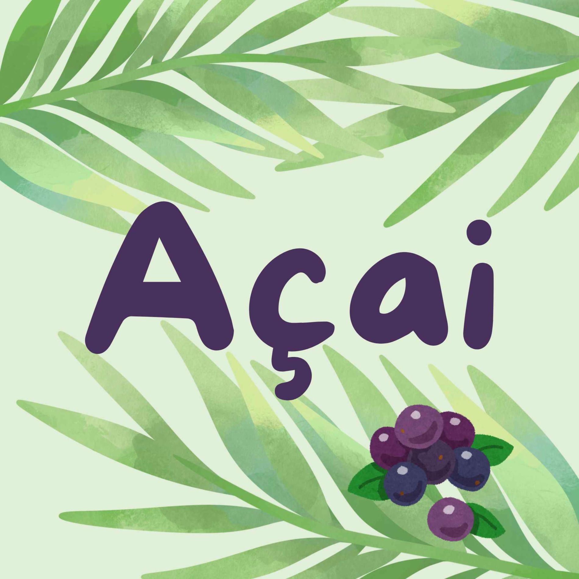 Show cover of Açai, nouvelles décoloniales
