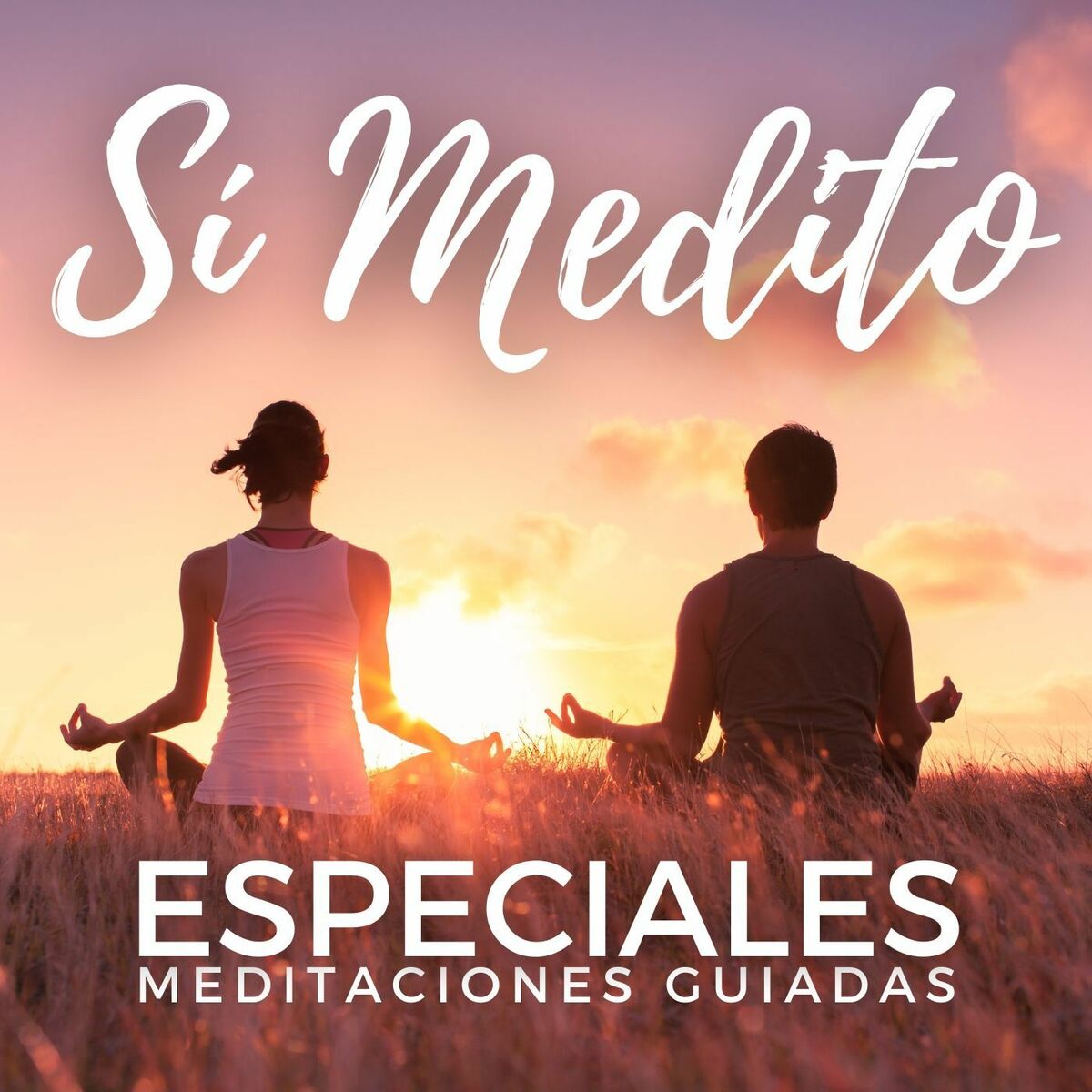 Show cover of Meditaciones especiales