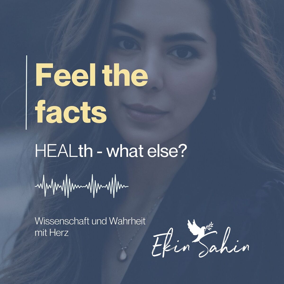 Show cover of Feel the facts
