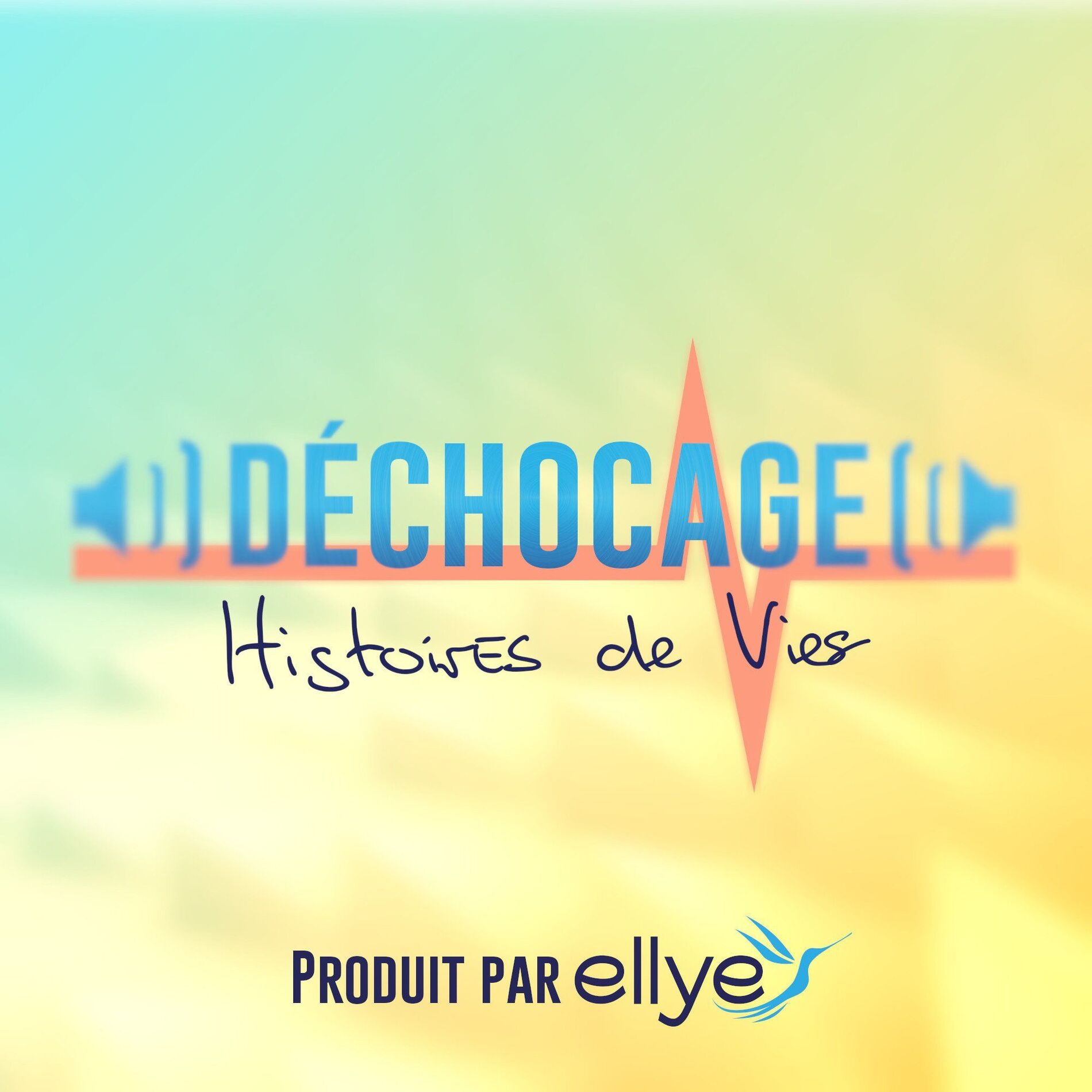 Show cover of Déchocage