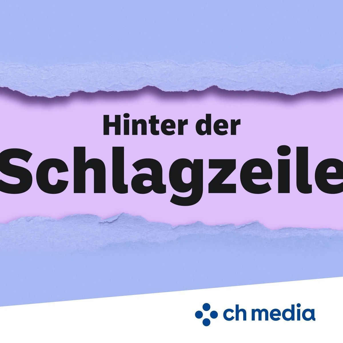 Show cover of Hinter der Schlagzeile