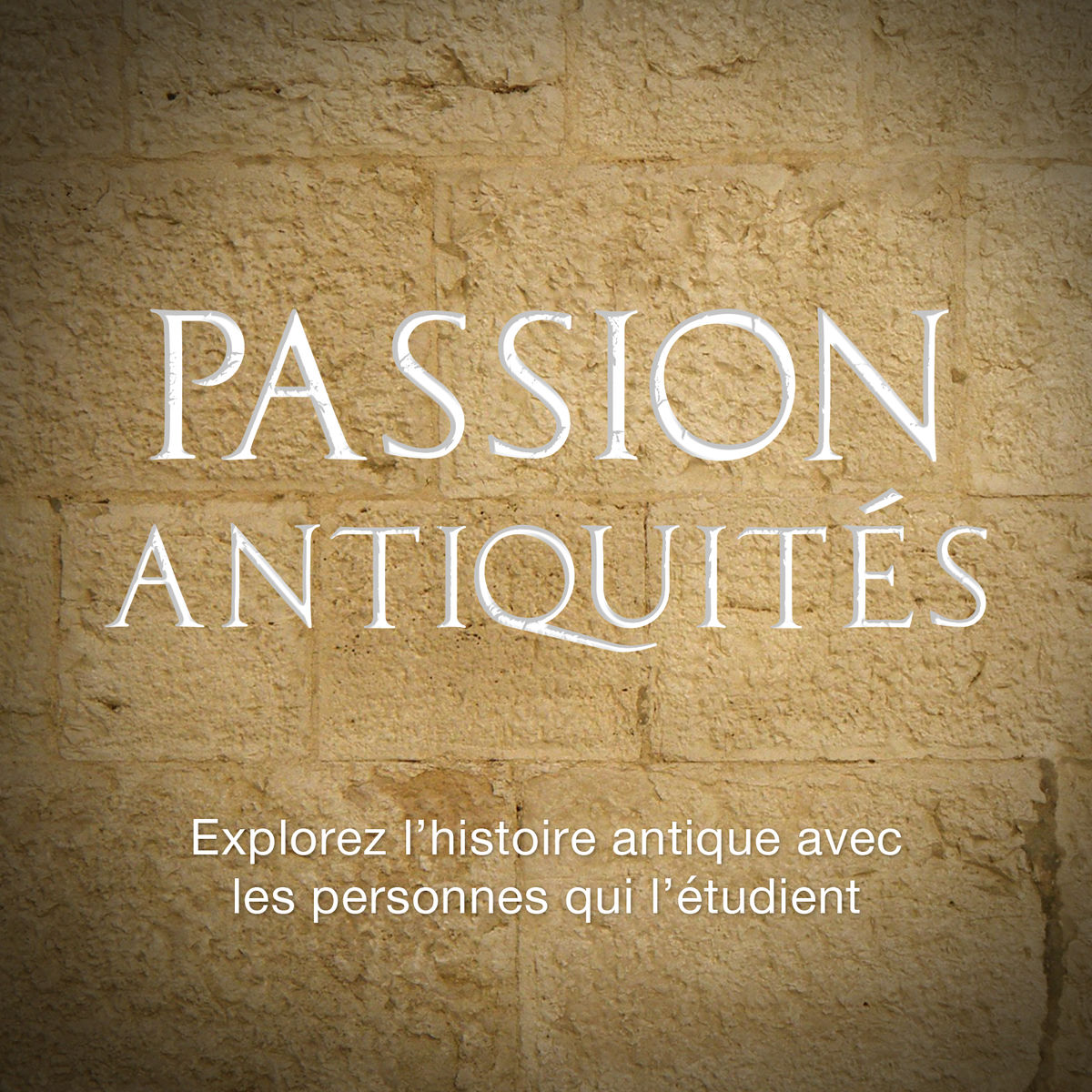 Show cover of Passion Antiquités