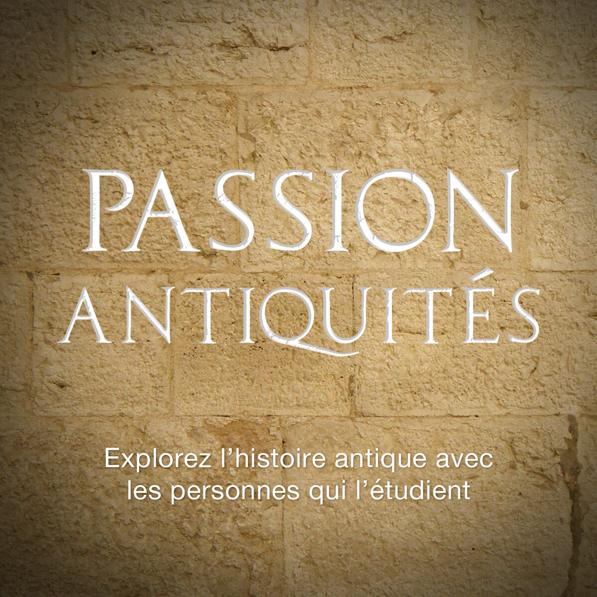 Show cover of Passion Antiquités