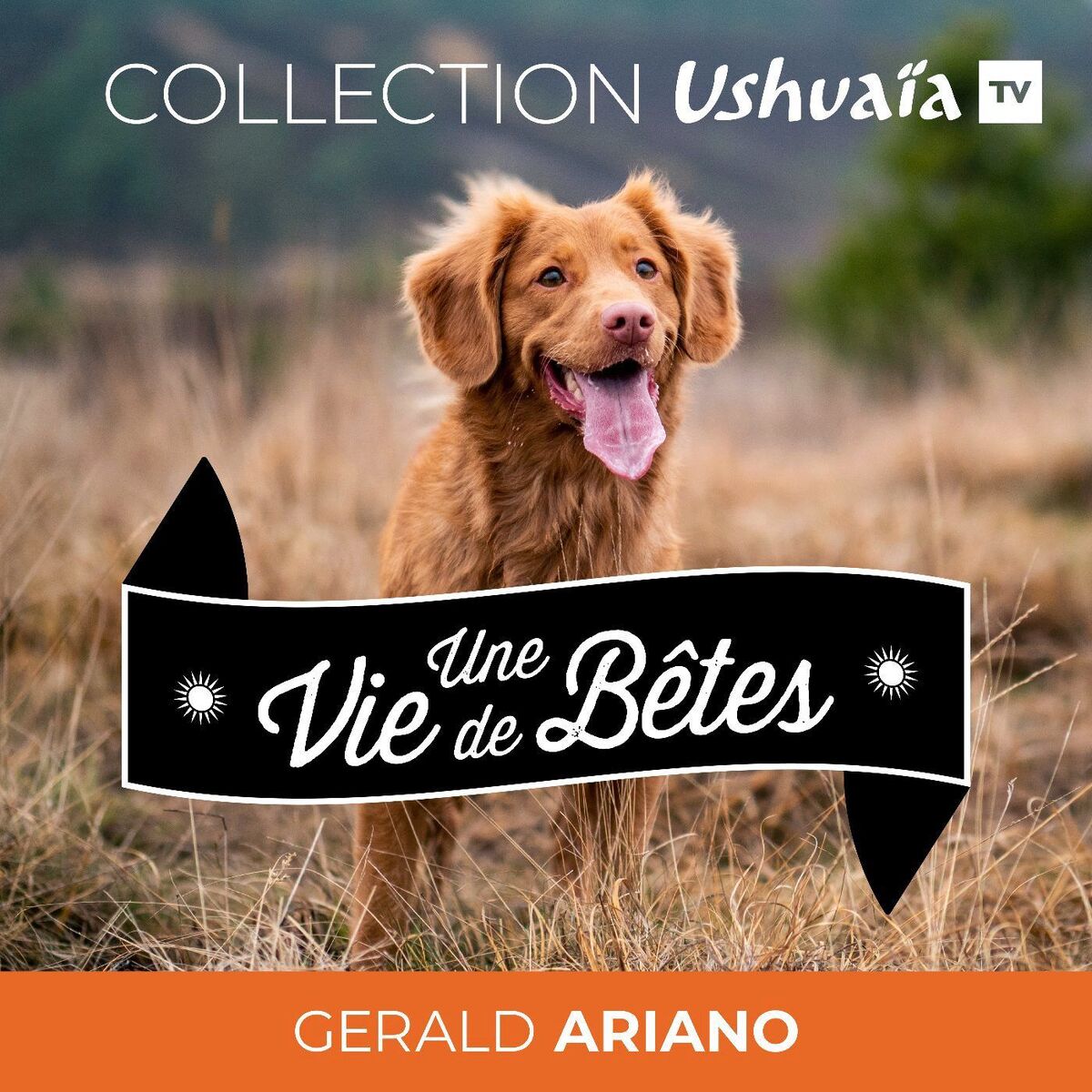 Show cover of UNE VIE DE BÊTES
