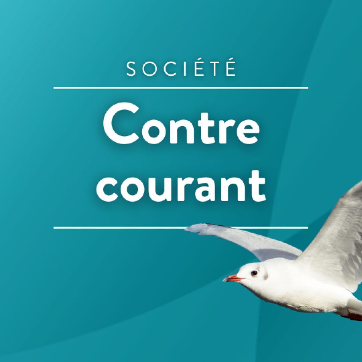 Show cover of Contre courant