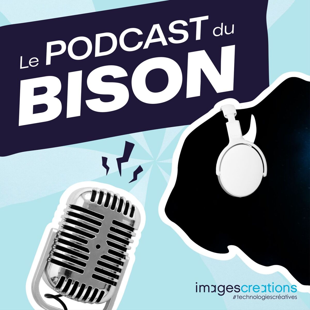 Show cover of Le Podcast du Bison ! Podcast de l'agence Digitale ImagesCréations