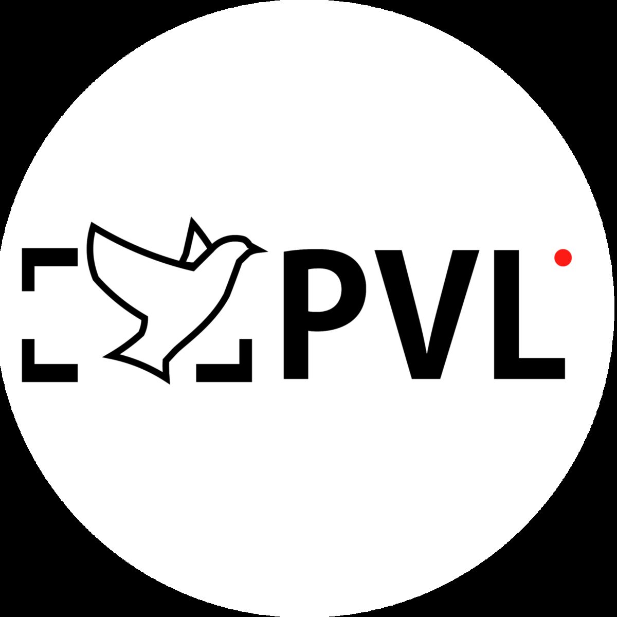 Show cover of VISION LIBRE
