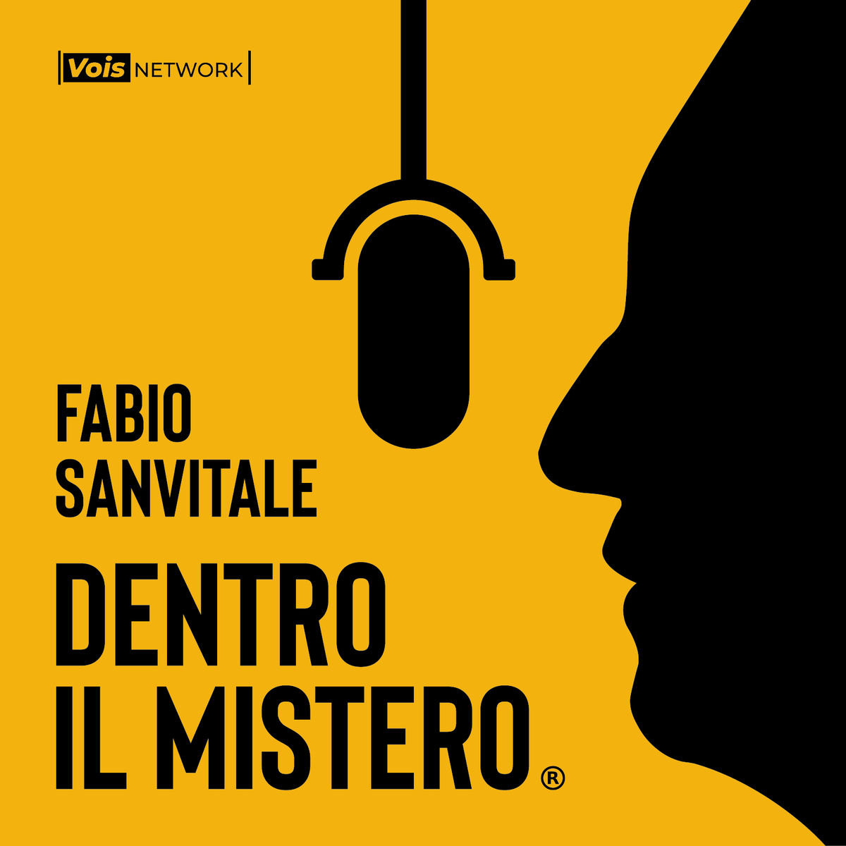 Show cover of Dentro il mistero