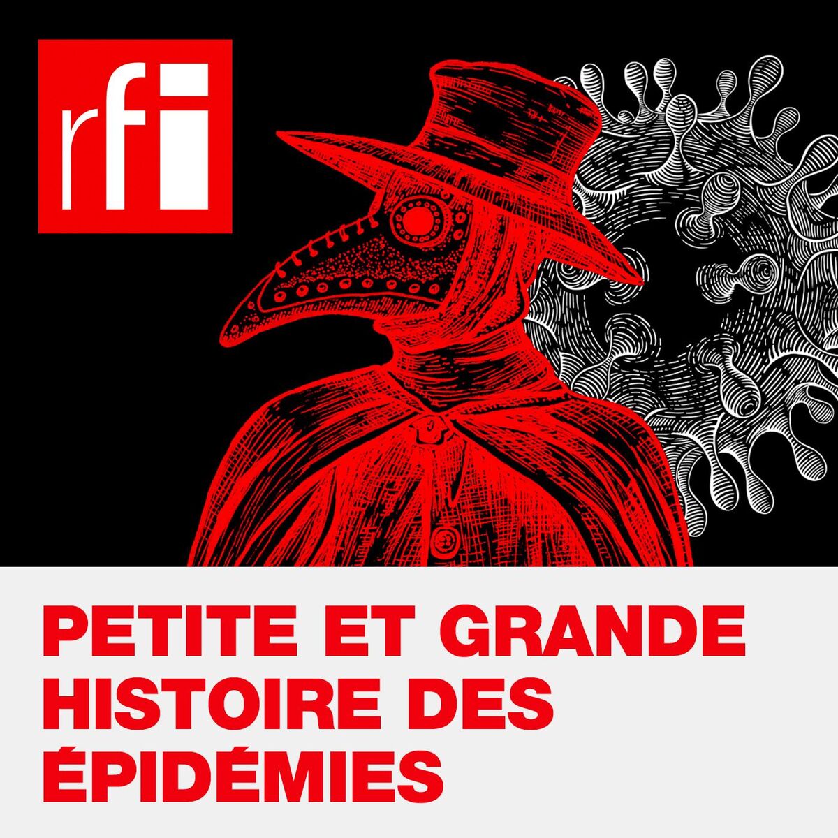 Show cover of Petite et grande histoire des épidémies