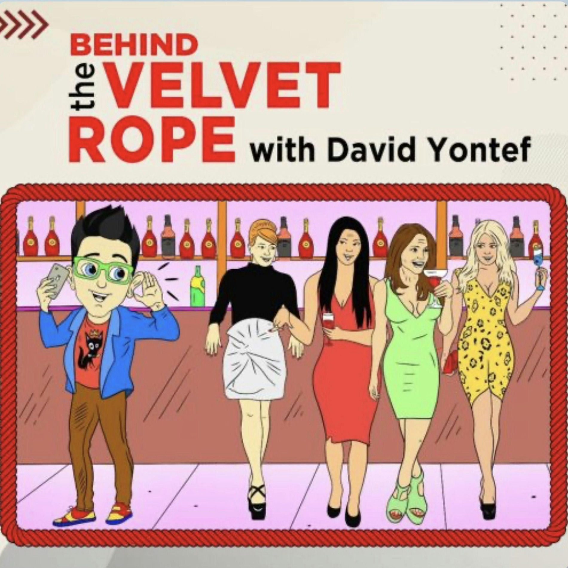 Show cover of BEHIND THE VELVET ROPE