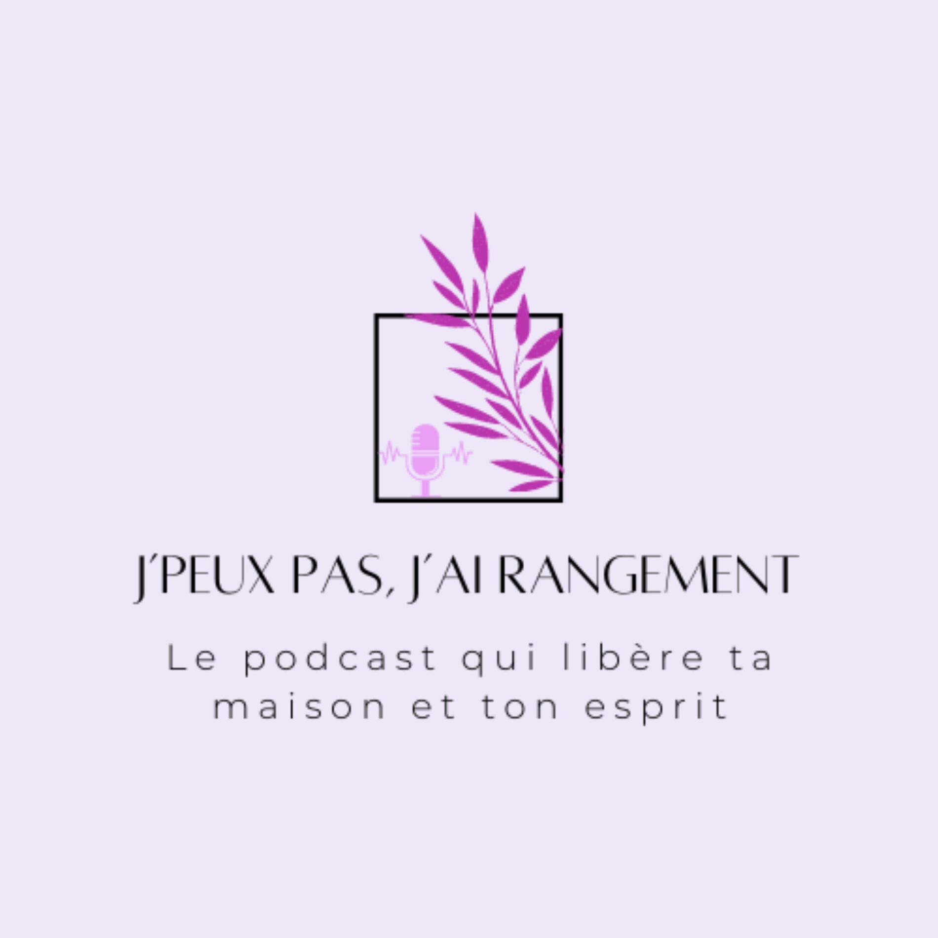 Show cover of J'peux pas, j'ai Rangement !