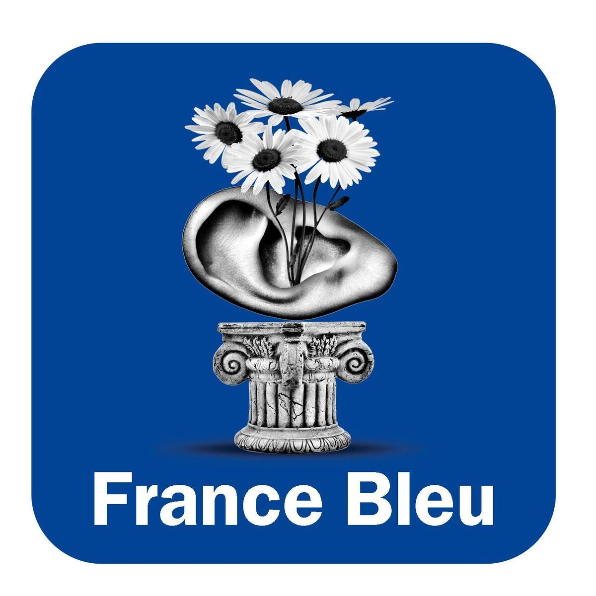 Show cover of La Minute Jardin de France Bleu Poitou