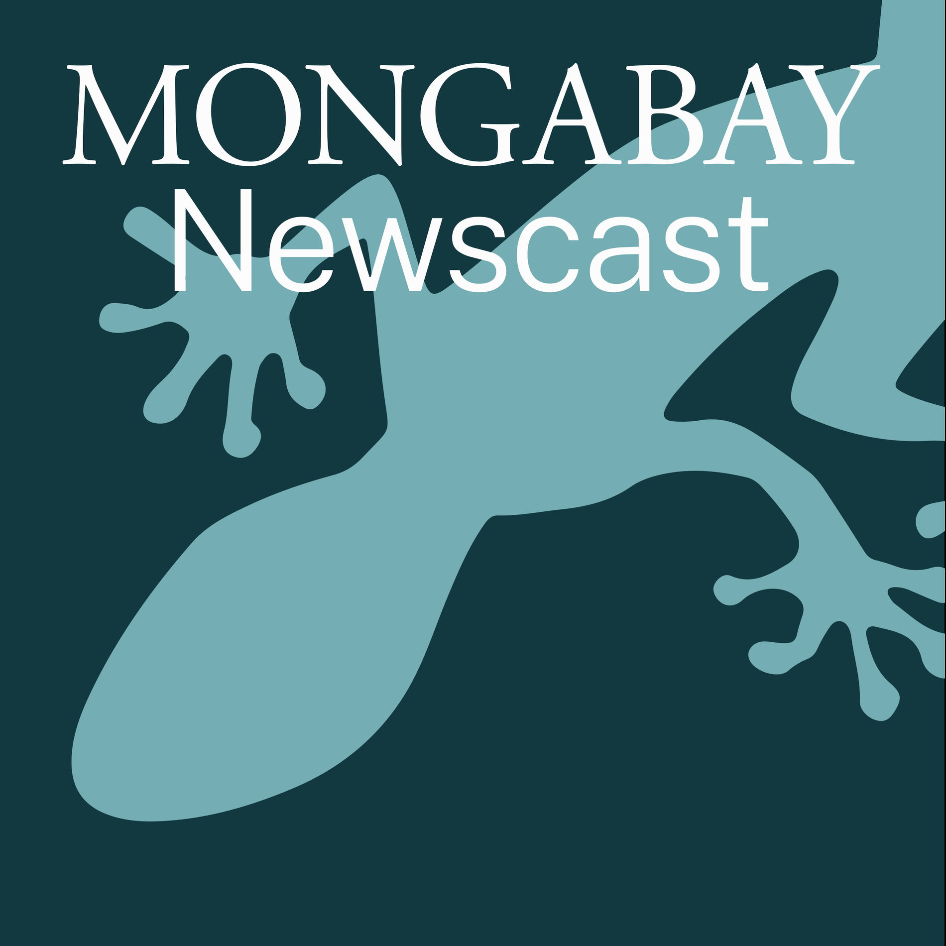 Show cover of Mongabay Newscast