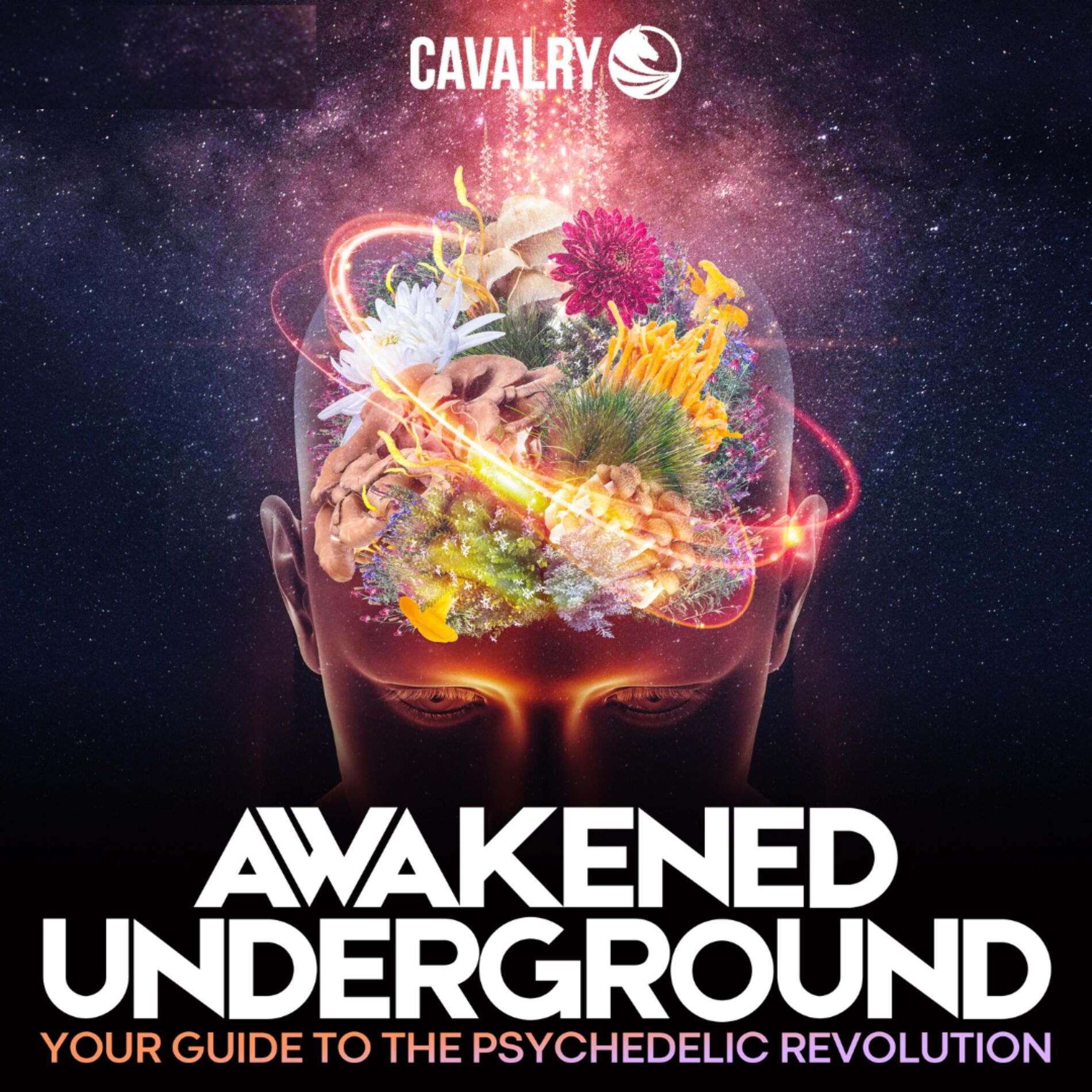 Show cover of Awakened Underground