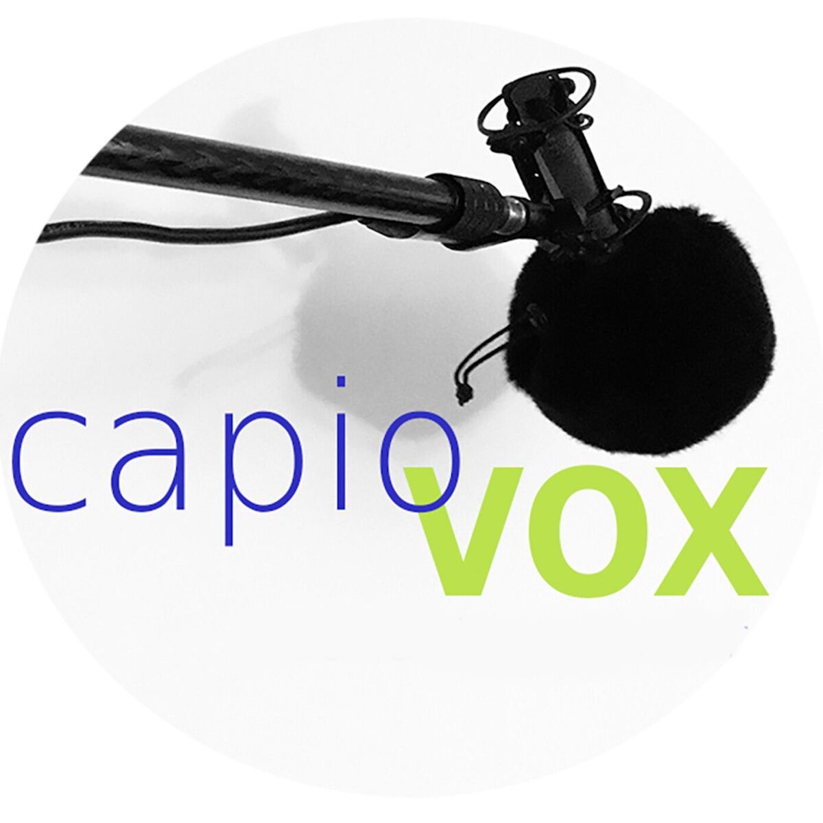 Show cover of CapioVox