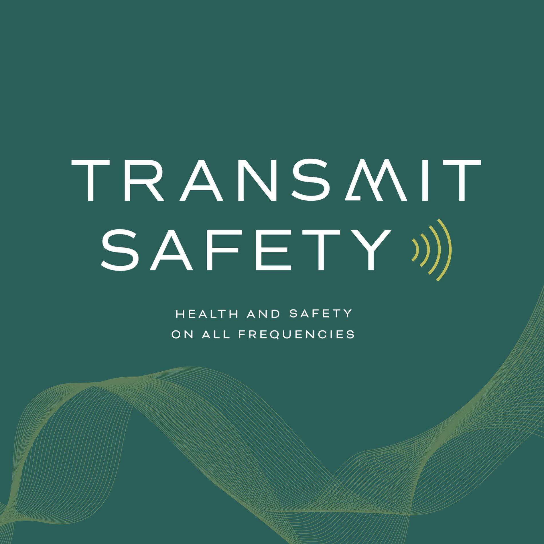 Show cover of Transmit Safety: Occupational Health And Safety on All Frequencies