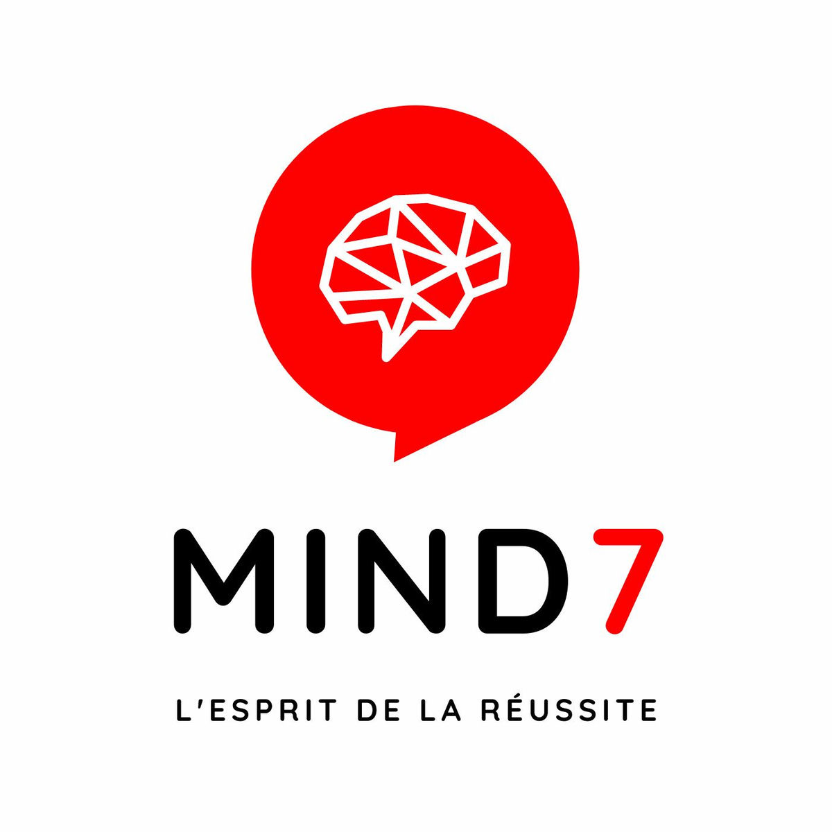Show cover of Mind7 l'état d'esprit de la réussite