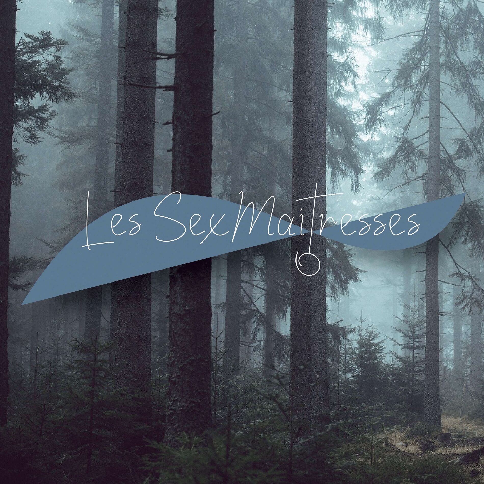 Show cover of Les SexMaitresses
