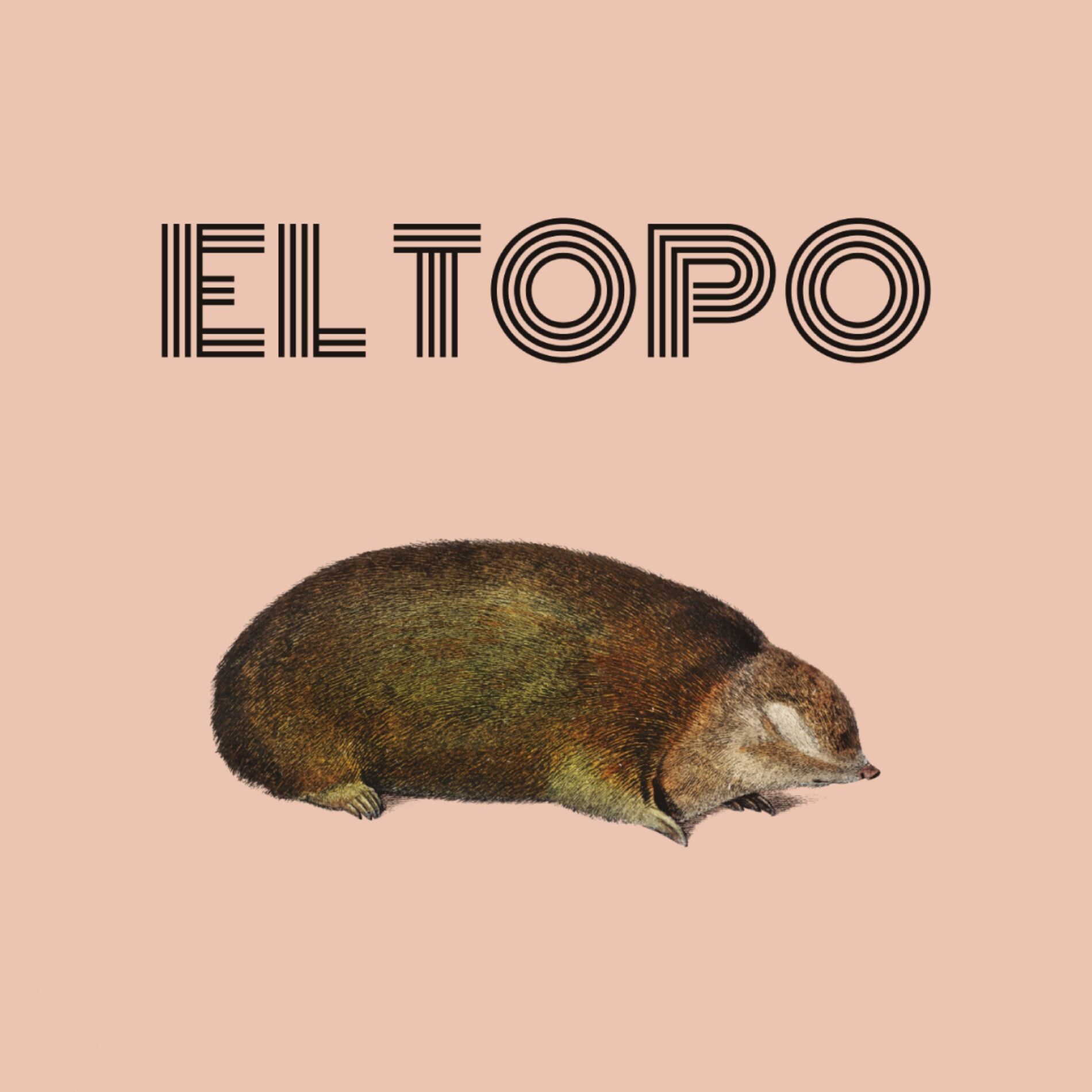Show cover of El Topo