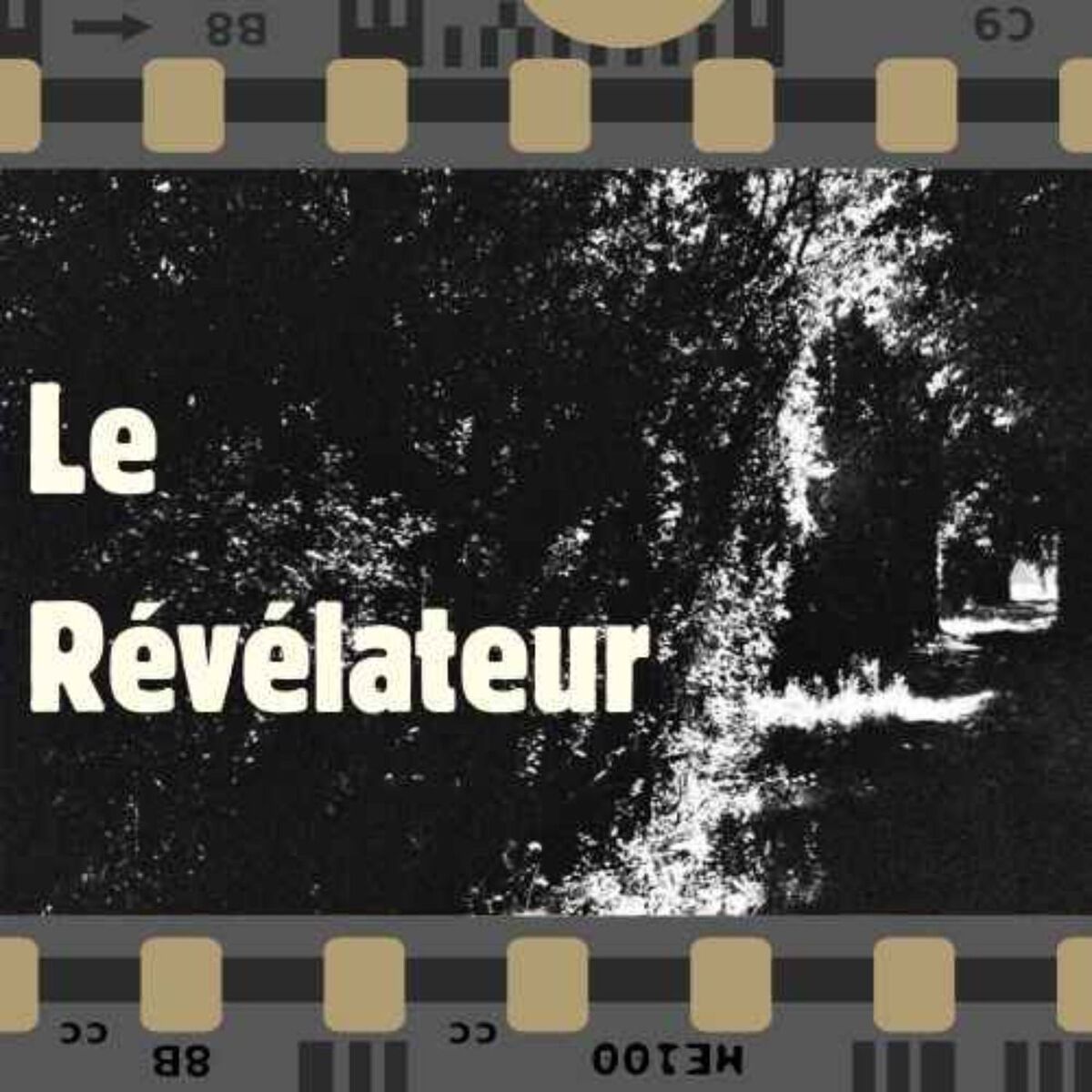 Show cover of Le révélateur