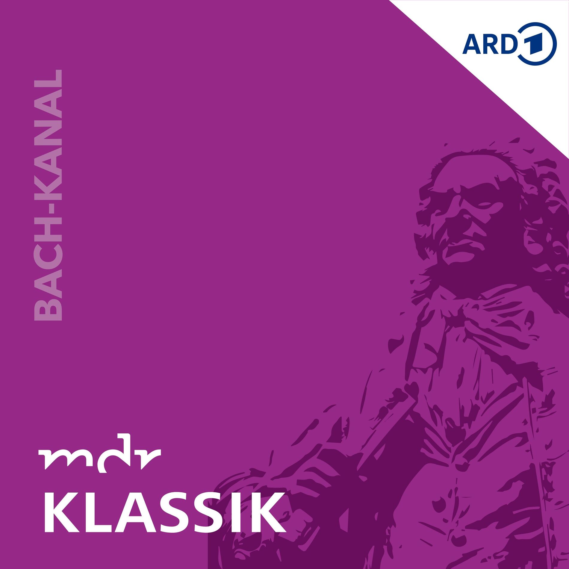 Show cover of Der Bach-Kanal mit Maul & Schrammek