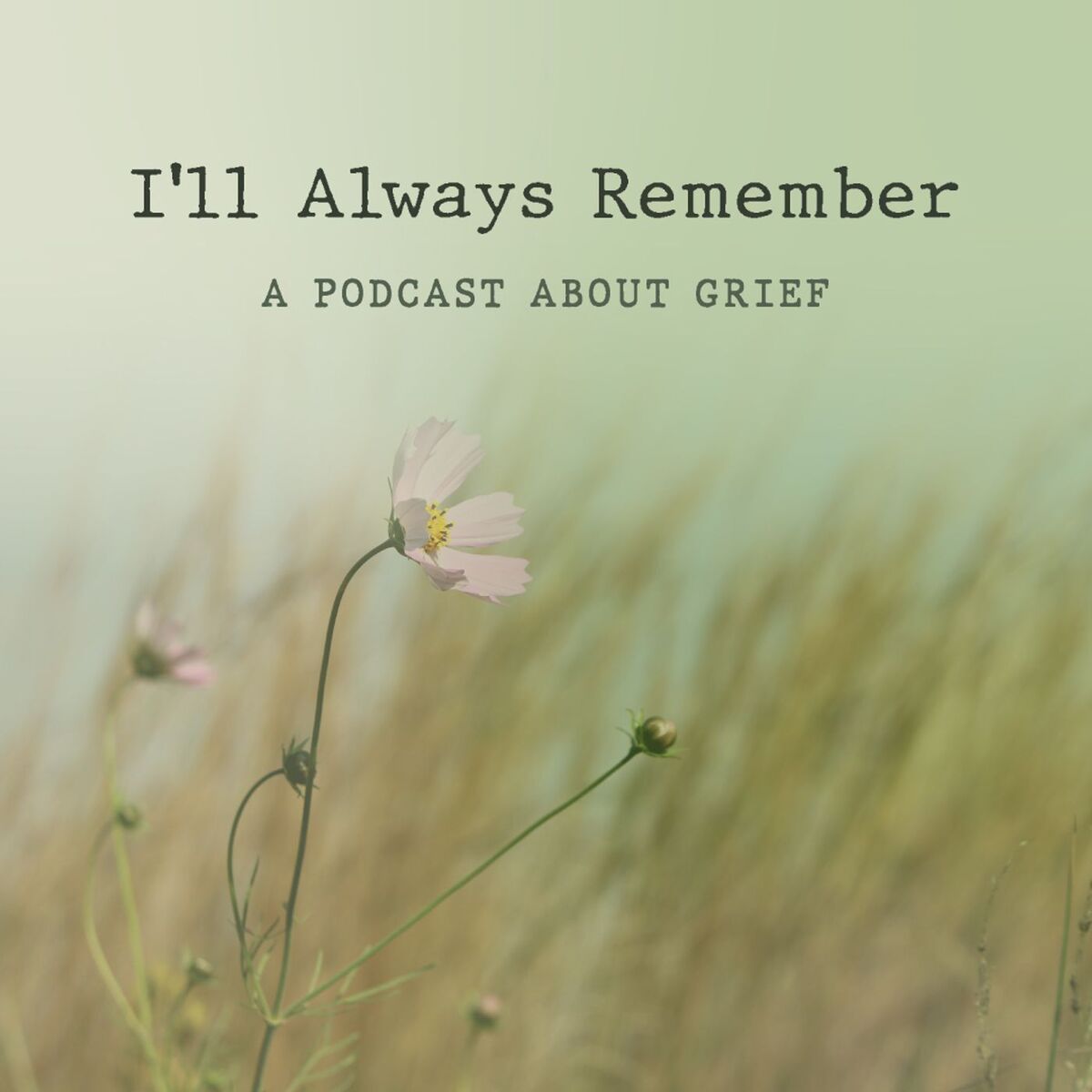Show cover of I'll Always Remember | Grief Stories