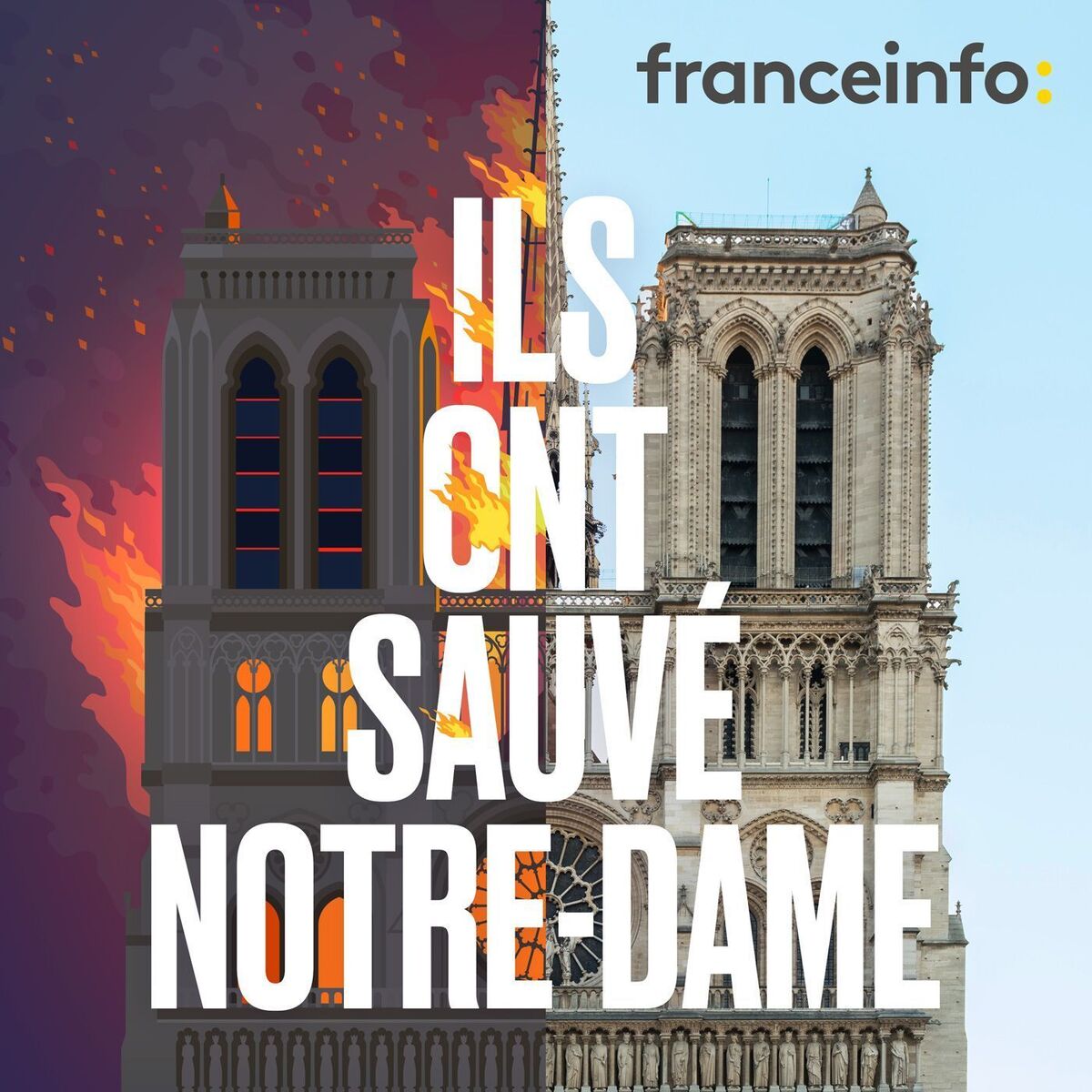 Show cover of Ils ont sauvé Notre-Dame