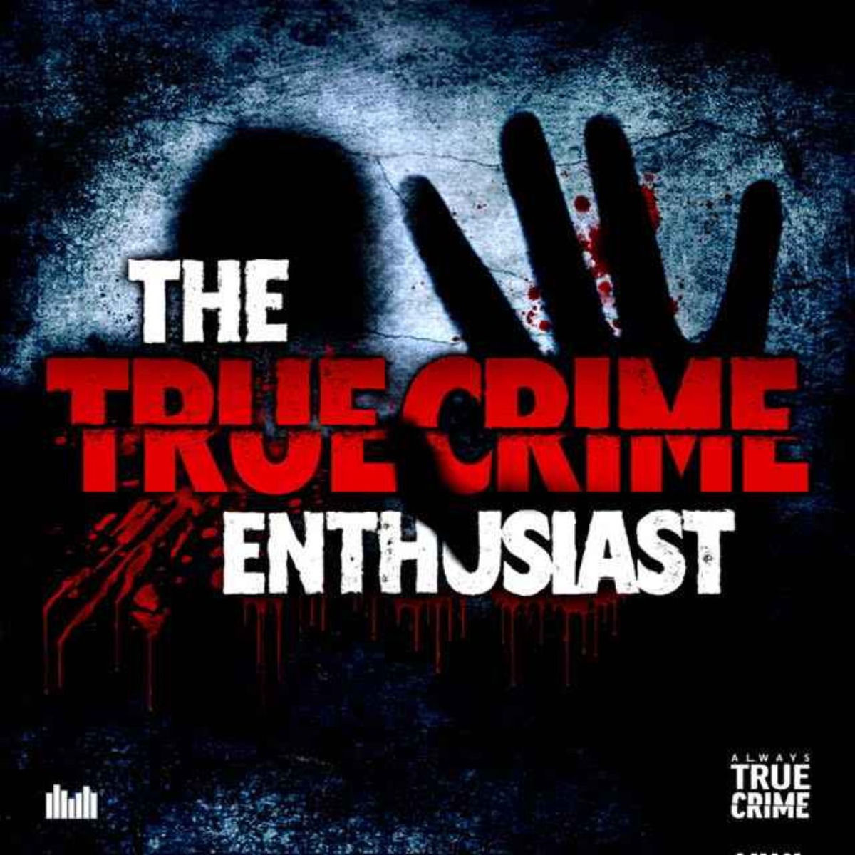 Show cover of The True Crime Enthusiast Podcast