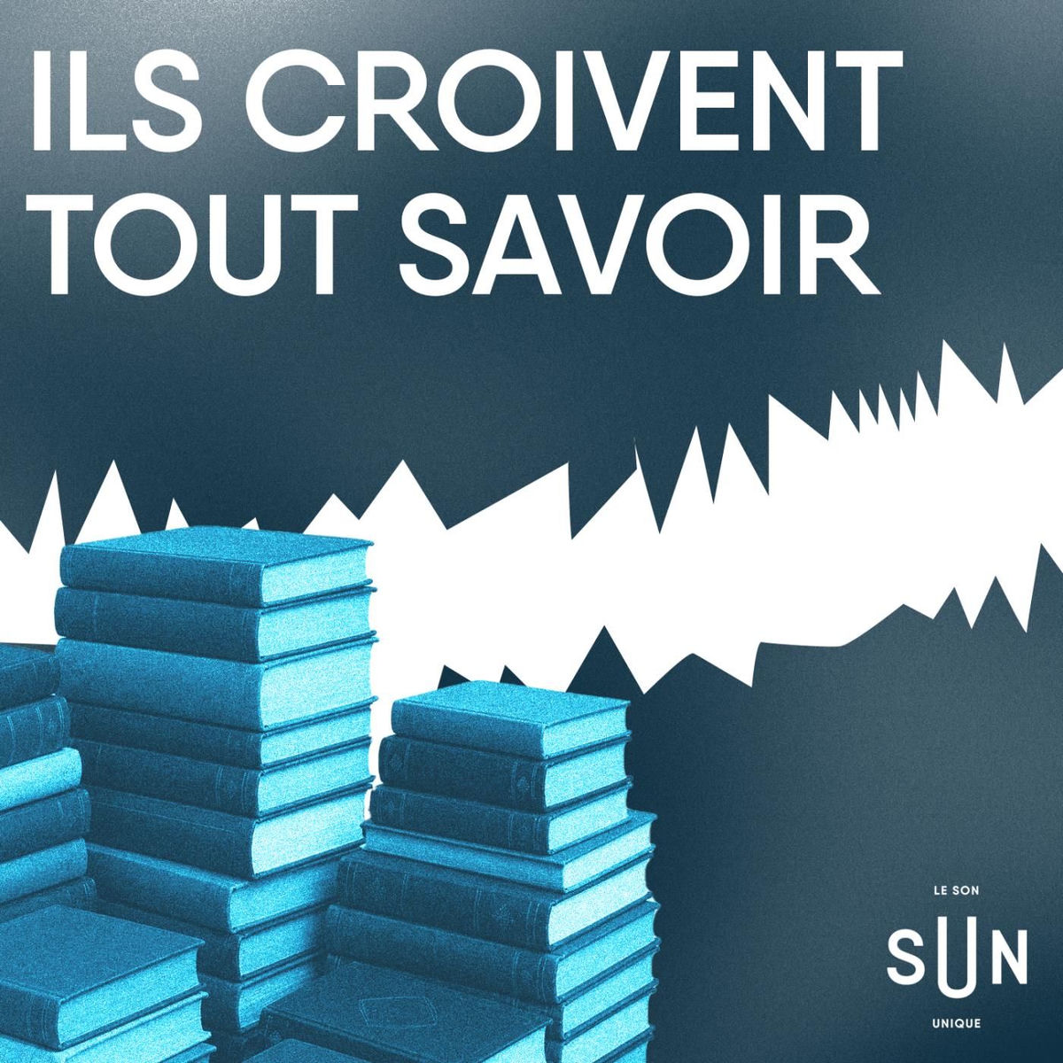 Show cover of Ils croivent tout savoir