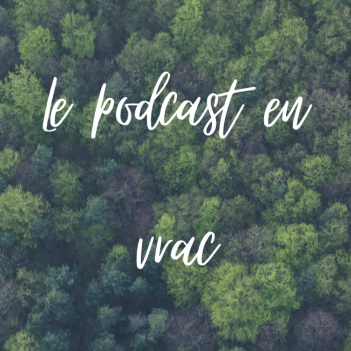 Show cover of Le podcast en Vrac