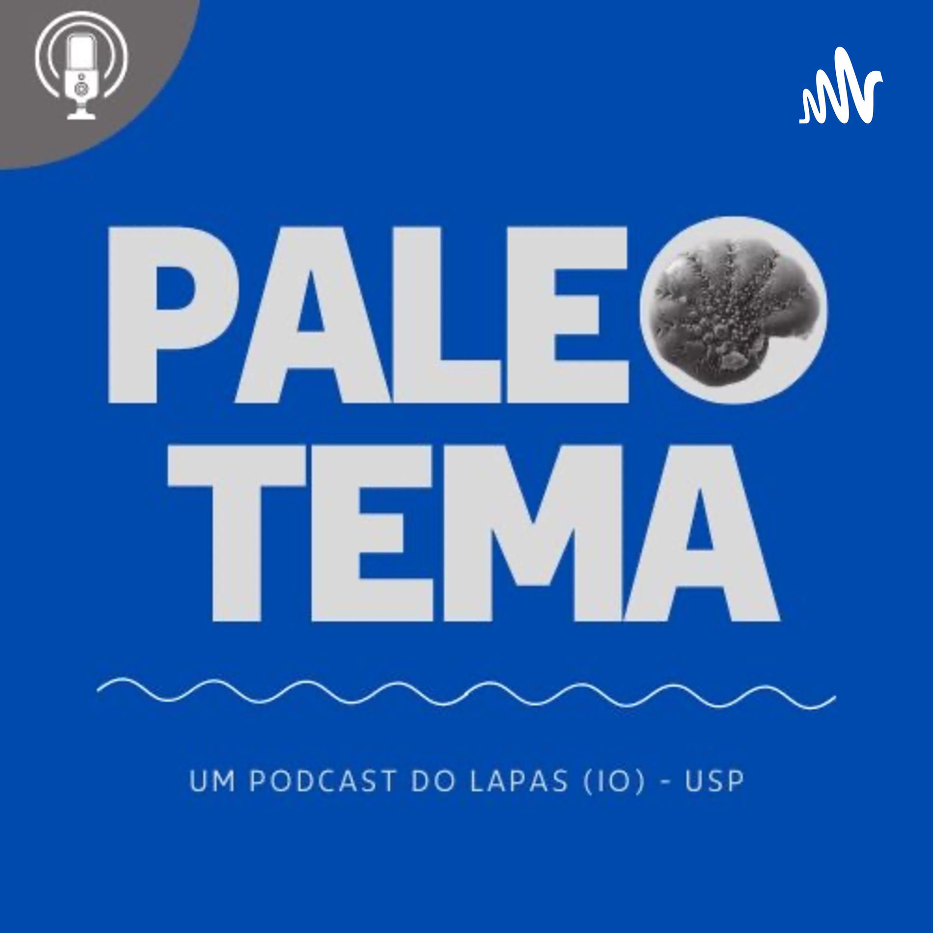 Show cover of Paleotema