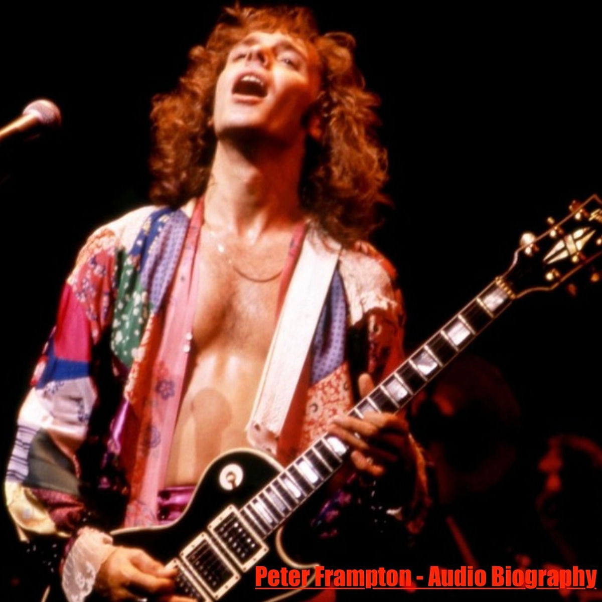 Show cover of Peter Frampton - Audio Biography