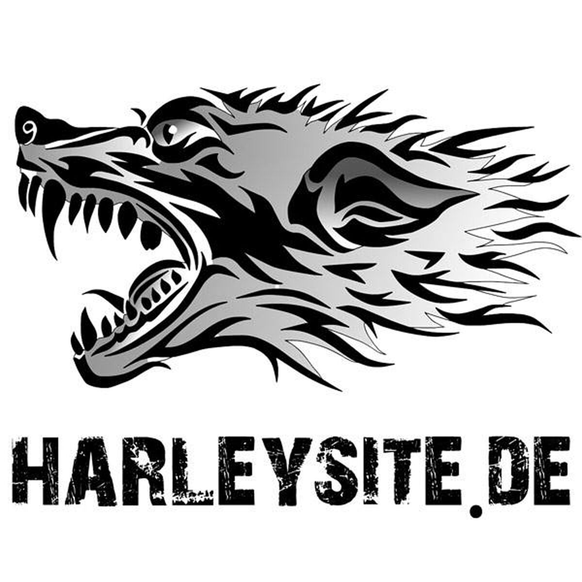 Show cover of DER HARLEYSITE PODCAST