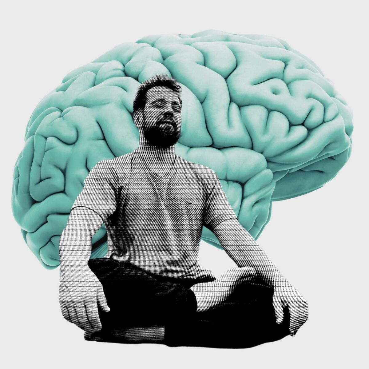 Show cover of Yoga e Neurociências