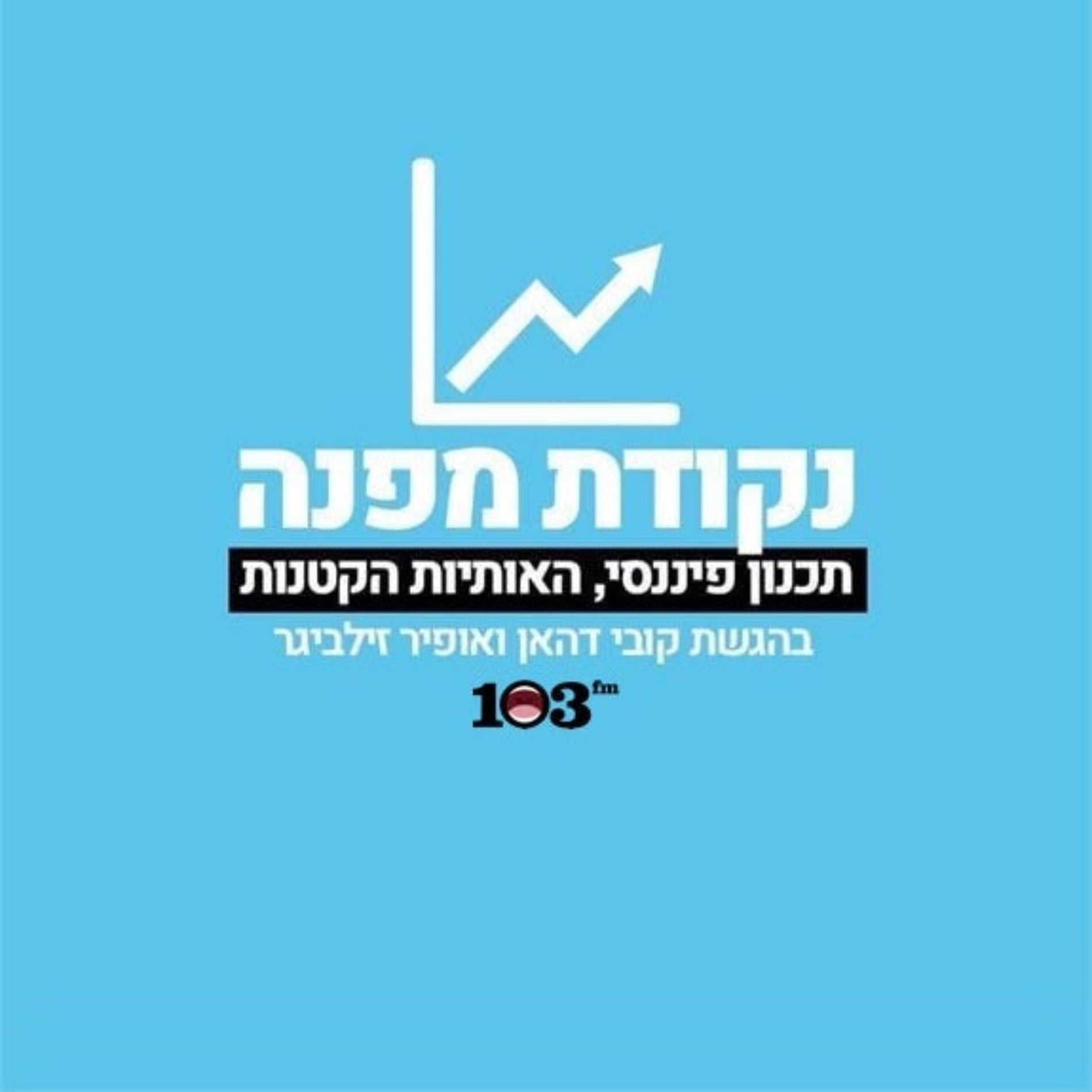 Show cover of נקודת מפנה